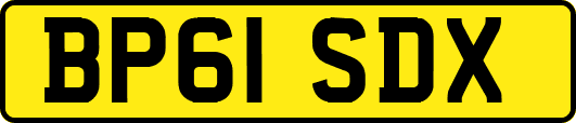 BP61SDX
