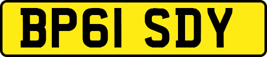 BP61SDY