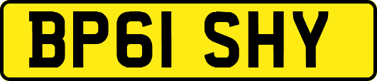 BP61SHY