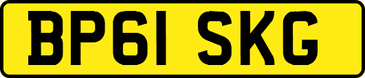 BP61SKG