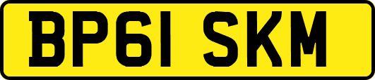 BP61SKM