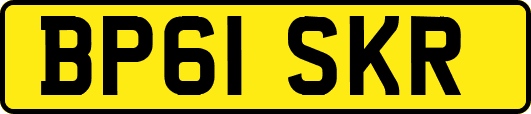BP61SKR