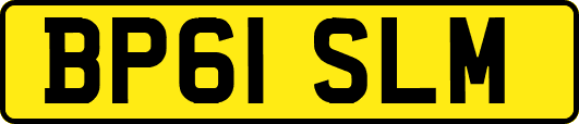 BP61SLM