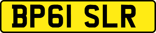 BP61SLR