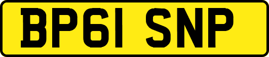 BP61SNP