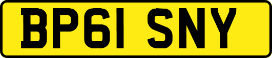 BP61SNY