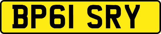 BP61SRY