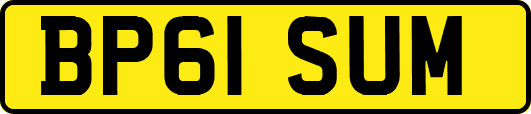 BP61SUM