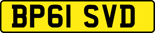 BP61SVD