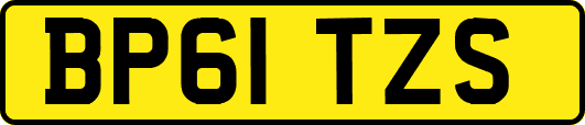 BP61TZS