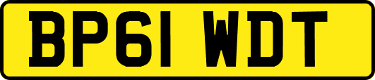 BP61WDT