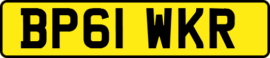BP61WKR