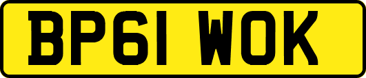 BP61WOK