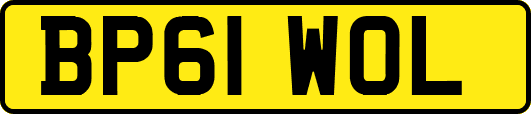 BP61WOL