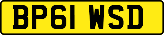 BP61WSD