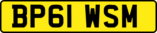 BP61WSM