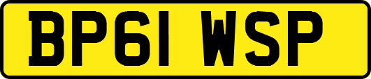 BP61WSP