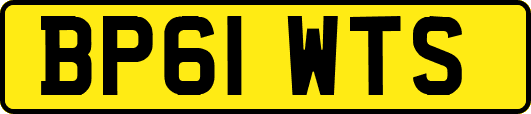 BP61WTS