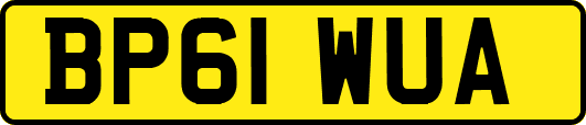 BP61WUA
