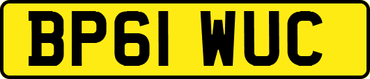 BP61WUC
