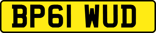 BP61WUD