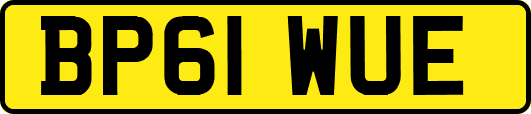 BP61WUE