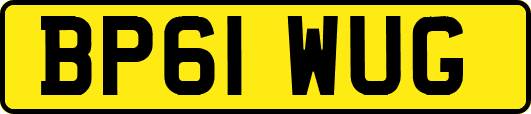 BP61WUG