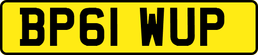BP61WUP