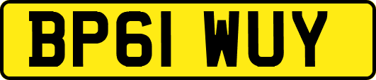BP61WUY