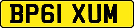 BP61XUM