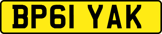 BP61YAK