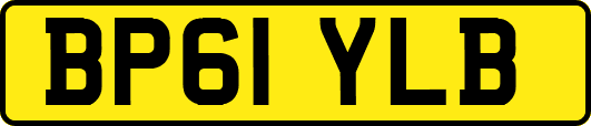 BP61YLB