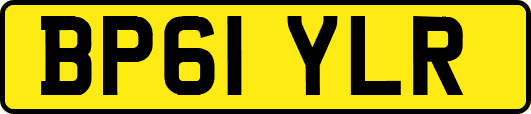 BP61YLR