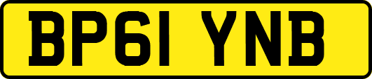 BP61YNB