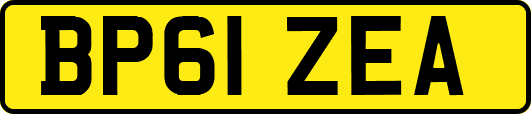 BP61ZEA