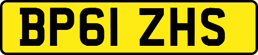 BP61ZHS