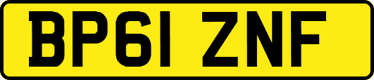 BP61ZNF