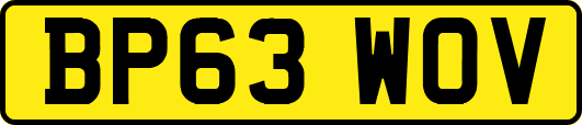 BP63WOV