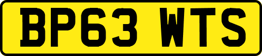 BP63WTS
