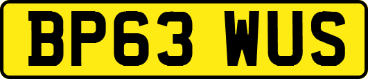 BP63WUS