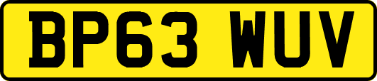 BP63WUV