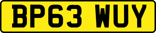 BP63WUY