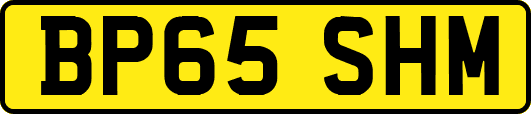 BP65SHM