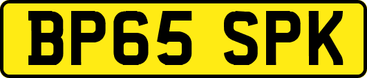 BP65SPK