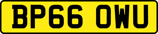 BP66OWU