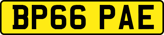 BP66PAE