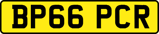 BP66PCR