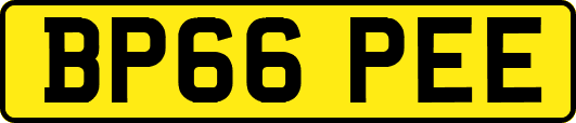 BP66PEE