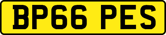BP66PES
