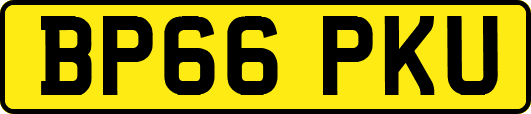 BP66PKU
